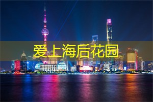 爱上海同城对对碰：上海论坛：参与者对未来城市发展的独特见解！