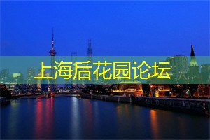 爱上海同城论坛：赤坎老街是赤坎民国风情街吗——探寻历史与现代的交融