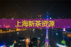 爱上海同城论坛：上海后花园：别样灯光秀，将你带入一个神奇的梦幻世界！