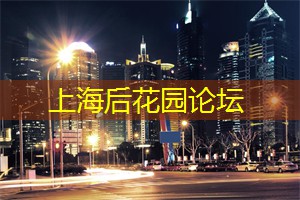 上海新茶工作室：月光下的艺术创作与体验